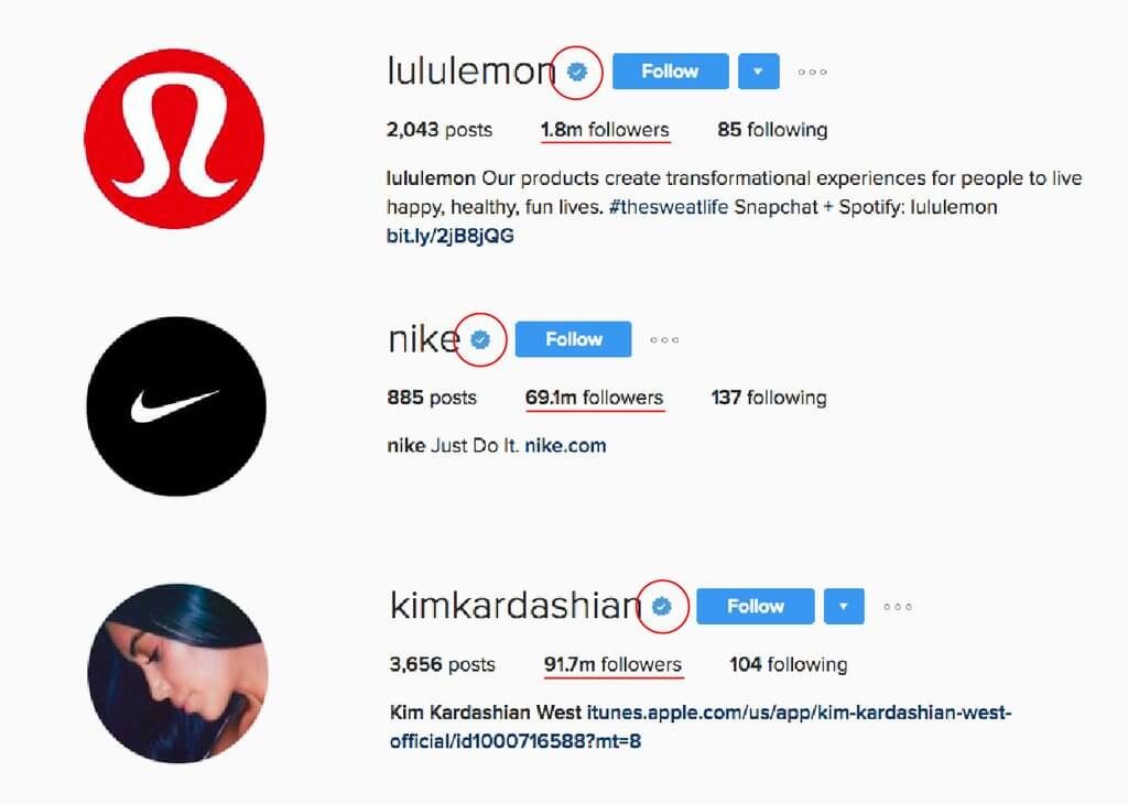 Verified Instagram Accounts - Famous Influencer