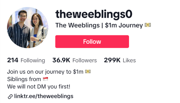 Aaron and Sarah (@theweeblings0) – 36.9K Followers