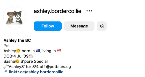 Ashley (@ashley.bordercollie) - 5.5K followers