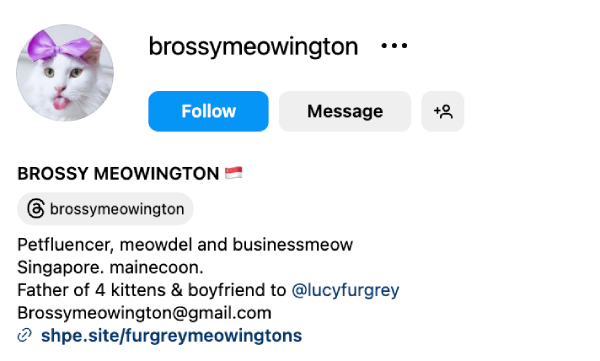 Brossy (@brossymeowington) – 50.6K Followers