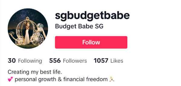 Budget Babe (@sgbudgetbabe) – 550 Followers