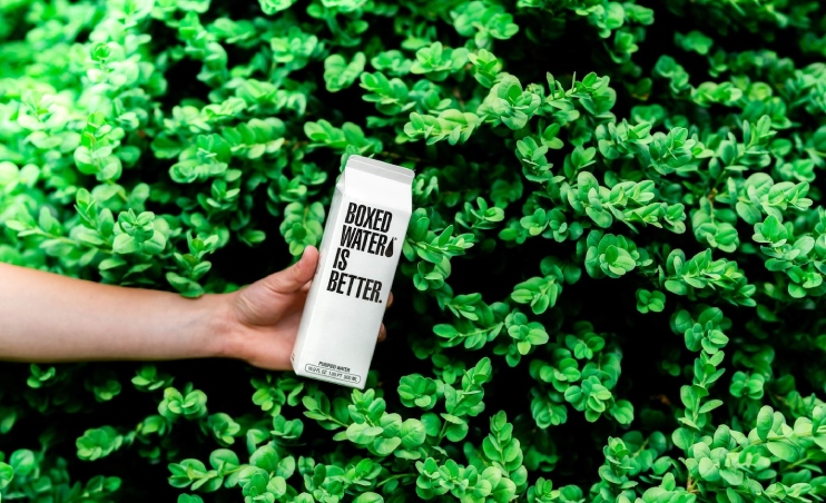 Eco-Friendly Lifestyle Influencers in Singapore to Follow