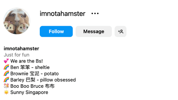 Imnotahamster (@imnotahamster) – 54.8K Followers