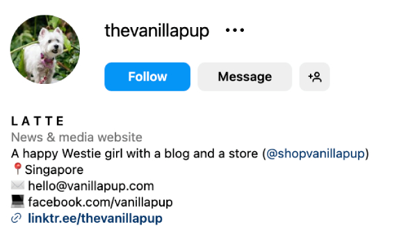 Latte (@thevanillapup) – 17.6K Followers