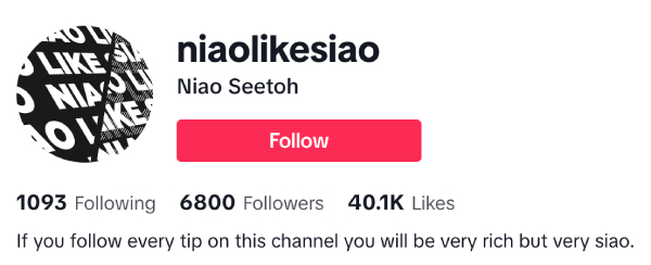 Melvin (@niaolikesiao) – 6.8K Followers