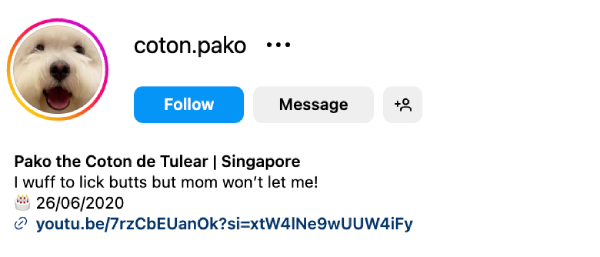 Pako (@coton.pako) – 18.1K Followers