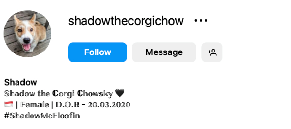 Shadow (@shadowthecorgichow) - 2.2K followers