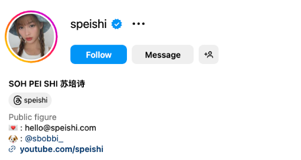 Soh Pei Shi (@speishi) - 370K Followers